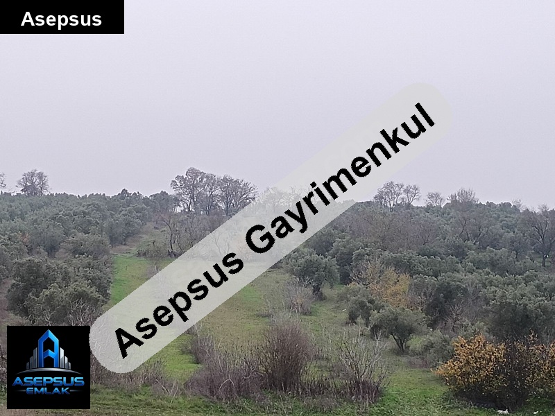 Asepsus Emlak'tan  büyüksoğuklar mh. 'sinde satılık arsa