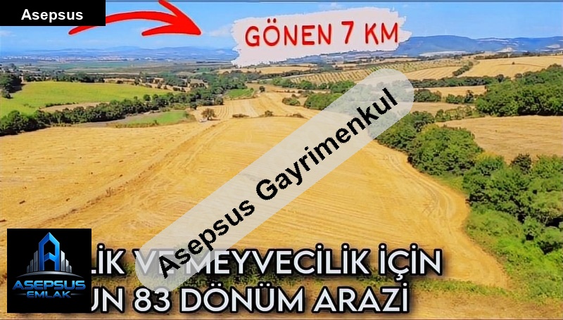 Asepsus Emlak'tan  üçpınar mh. 'sinde satılık arsa