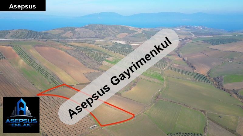 Asepsus Emlak'tan  havutça mh. 'sinde satılık arsa