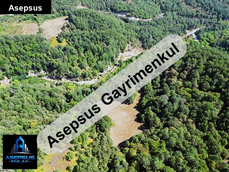 Asepsus Emlak'tan  beyoluk mh. 'sinde satılık arsa