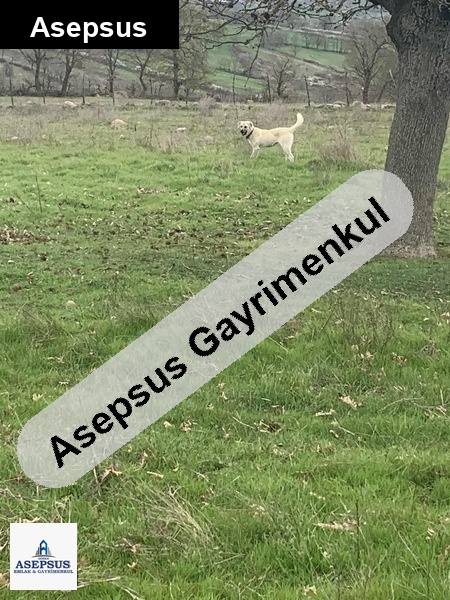 Asepsus Emlak'tan 3+1 kovancı köyü 'sinde satılık arsa