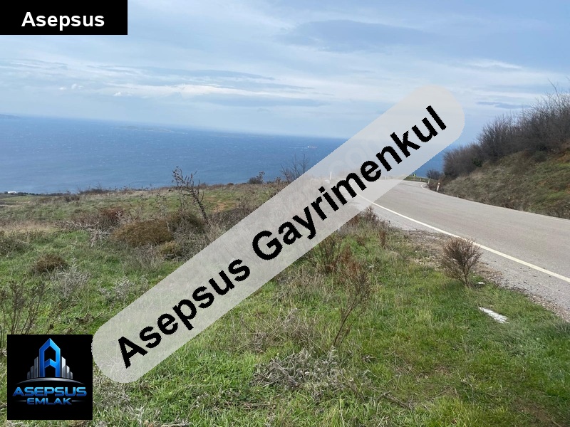 Asepsus Emlak'tan  yenice mh. 'sinde satılık arsa