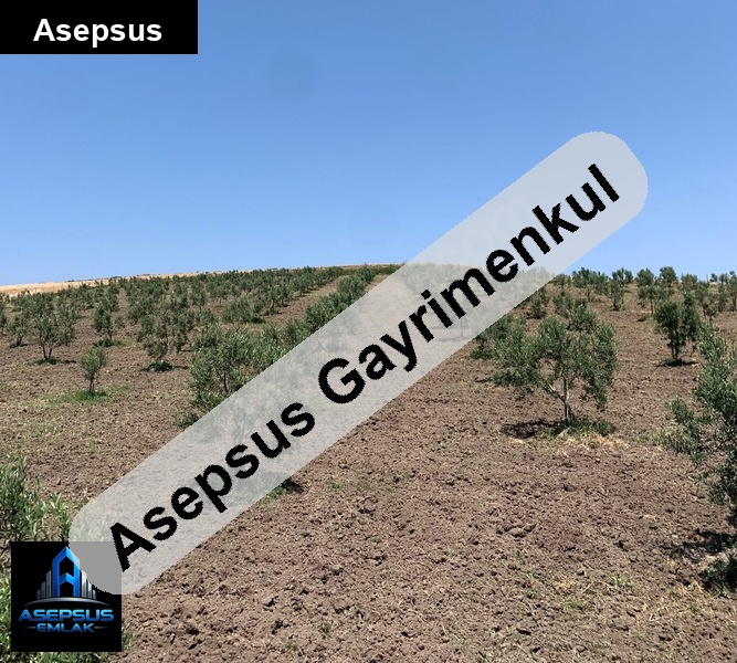 Asepsus Emlak'tan  orhaniye mh. 'sinde satılık arsa