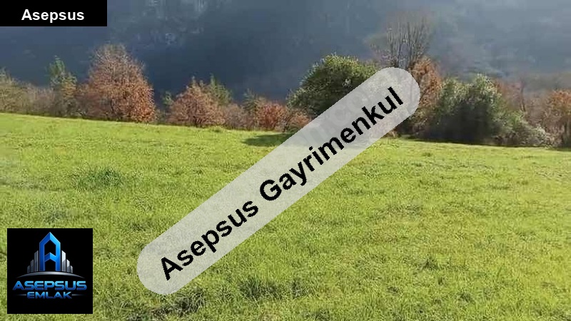 Asepsus Emlak'tan  ortaoba mh. 'sinde satılık arsa