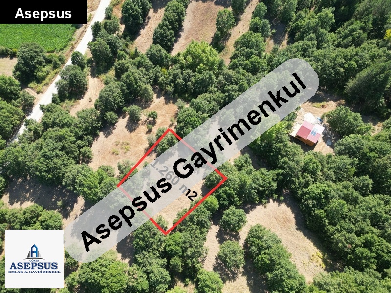 Asepsus Emlak'tan 3+1 örencik köyü 'sinde satılık arsa