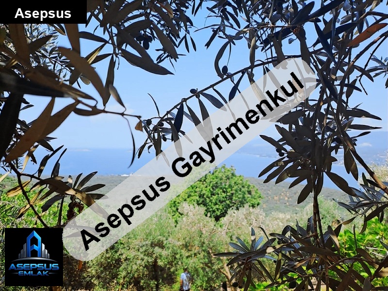 Asepsus Emlak'tan  edincik mh. 'sinde satılık arsa