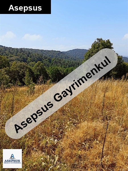 Asepsus Emlak'tan 3+1 ballıçay köyü 'sinde satılık arsa