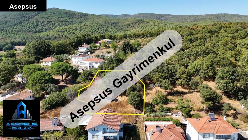 Asepsus Emlak'tan  armutlu mh. 'sinde satılık arsa
