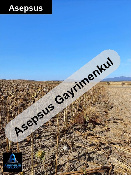 Asepsus Emlak'tan  akçapınar mh. 'sinde satılık arsa