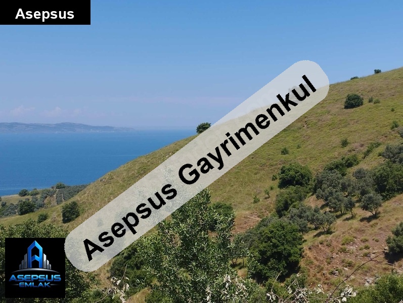 Asepsus Emlak'tan  dutliman mh. 'sinde satılık arsa