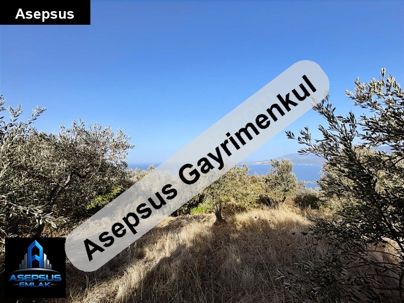 Asepsus Emlak'tan  edincik mh. 'sinde satılık arsa