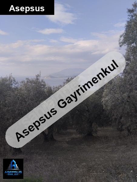 Asepsus Emlak'tan  edincik mh. 'sinde satılık arsa