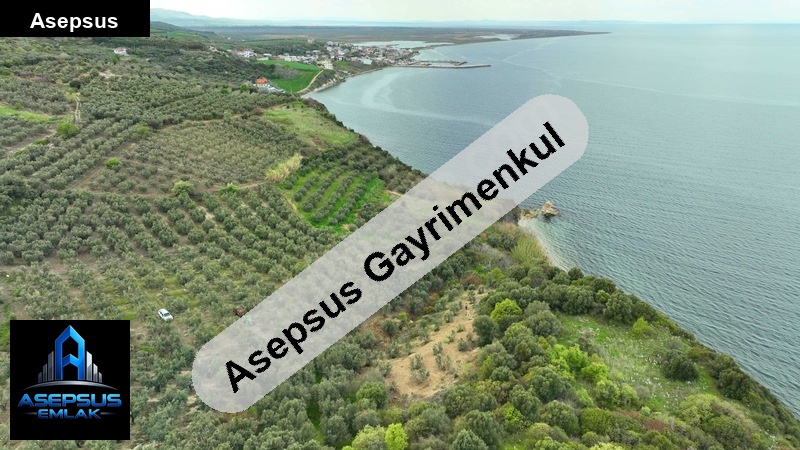 Asepsus Emlak'tan  misakça mh. 'sinde satılık arsa