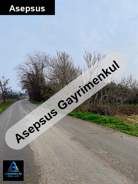 Asepsus Emlak'tan  aksakal mh. 'sinde satılık arsa