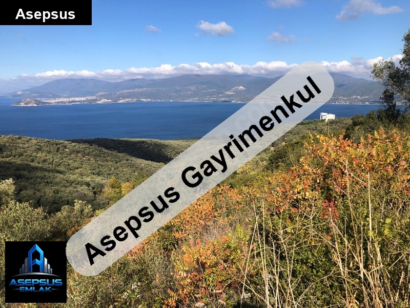 Asepsus Emlak'tan  edincik mh. 'sinde satılık arsa