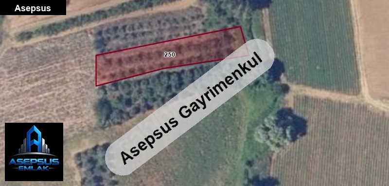 Asepsus Emlak'tan  emre mh. 'sinde satılık arsa