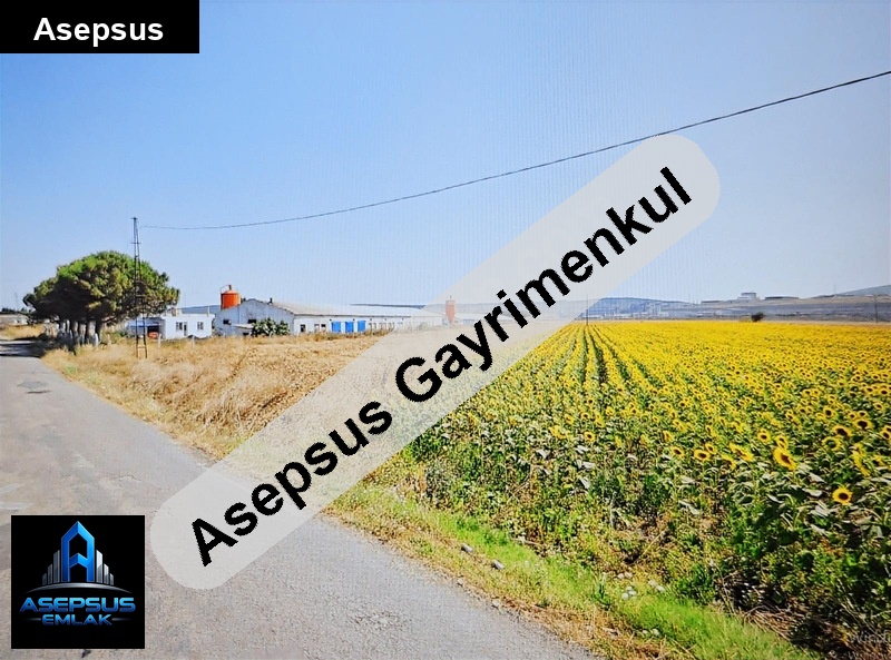 Asepsus Emlak'tan  buğdaylı mh. 'sinde satılık arsa