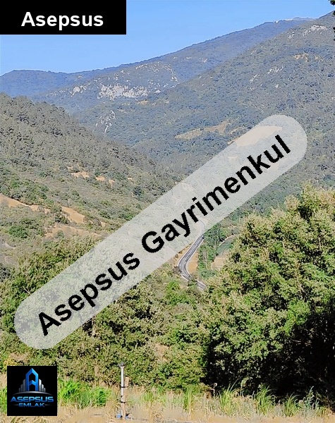 Asepsus Emlak'tan  ortaoba mh. 'sinde satılık arsa