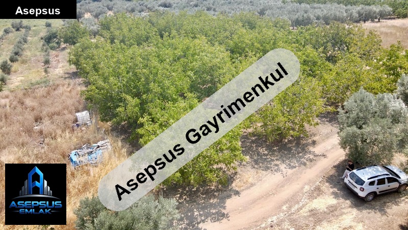 Asepsus Emlak'tan  doğa mh. 'sinde satılık arsa