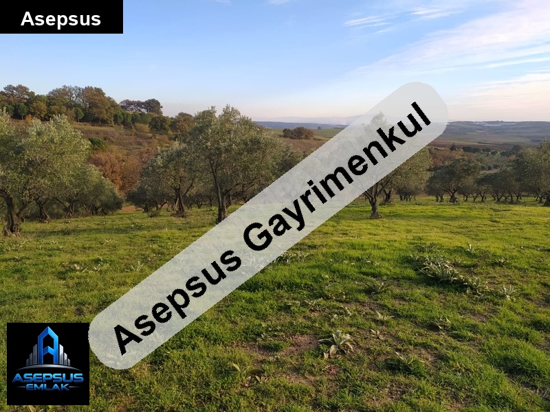 Asepsus Emlak'tan  çakılköy mh. 'sinde satılık arsa