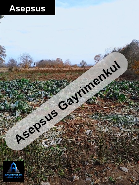 Asepsus Emlak'tan  armutlu mh. 'sinde satılık arsa