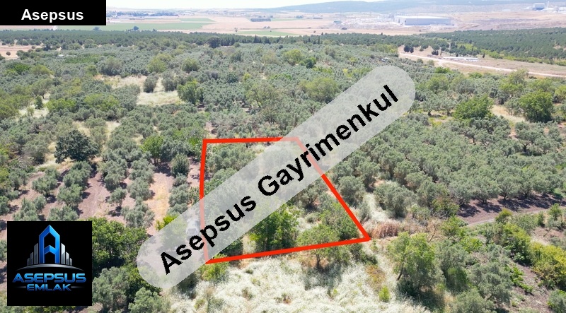Asepsus Emlak'tan  paşaçiftlik mh. 'sinde satılık arsa