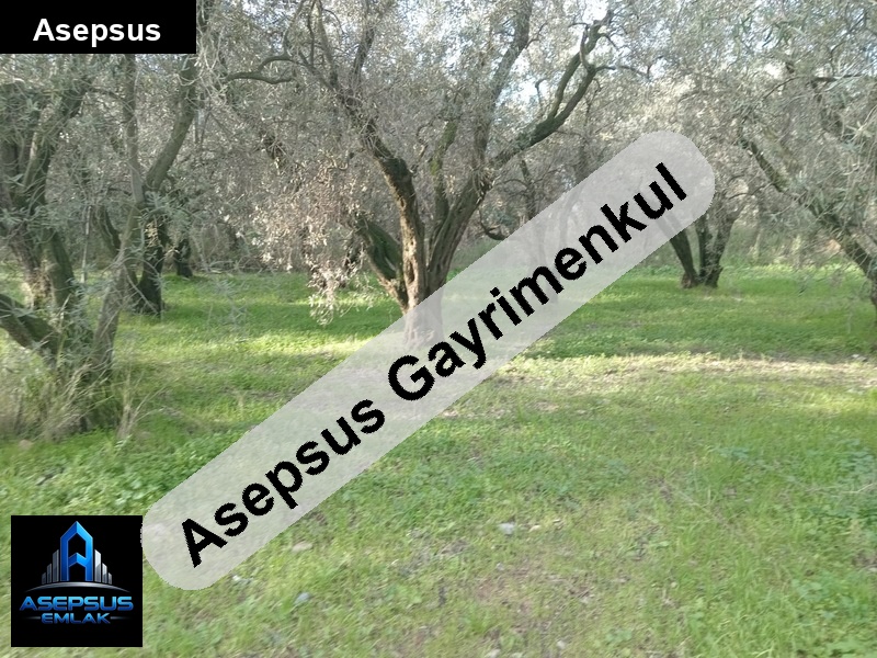 Asepsus Emlak'tan  edincik mh. 'sinde satılık arsa