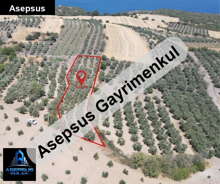 Asepsus Emlak'tan  şirinçavuş mh. 'sinde satılık arsa