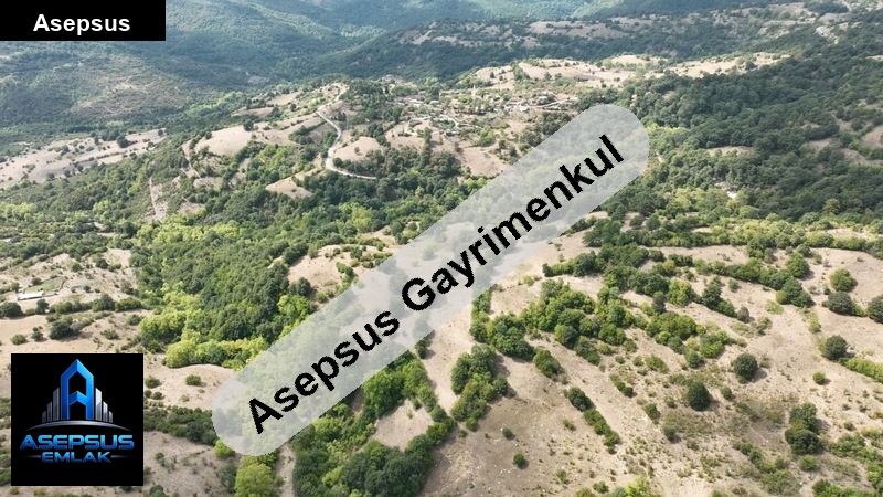 Asepsus Emlak'tan  dumanalan mh. 'sinde satılık arsa