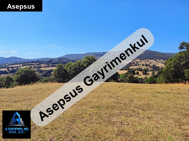 Asepsus Emlak'tan  söğüt mh. 'sinde satılık arsa