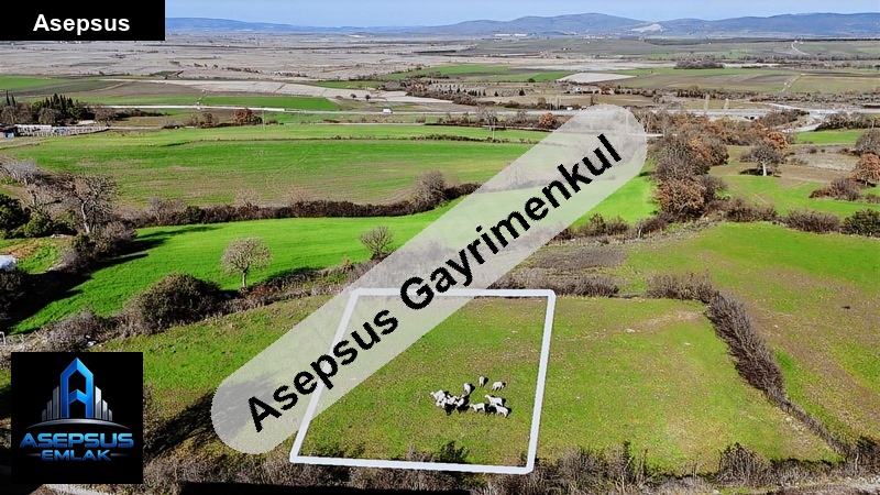 Asepsus Emlak'tan  kalfaköy mh. 'sinde satılık arsa