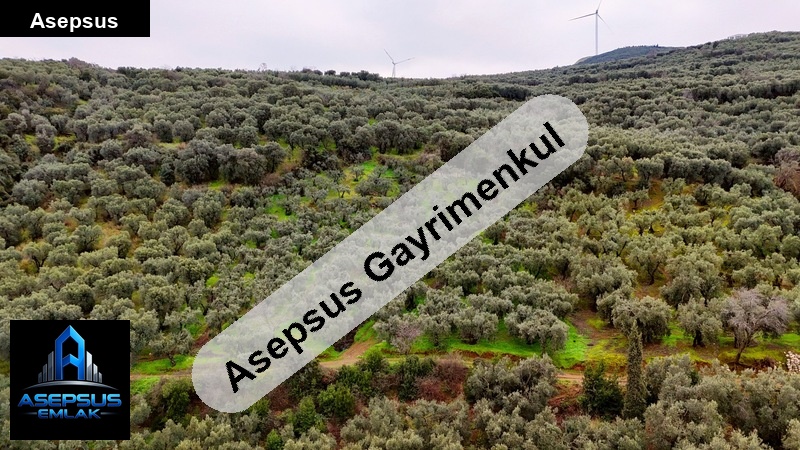 Asepsus Emlak'tan  edincik mh. 'sinde satılık arsa