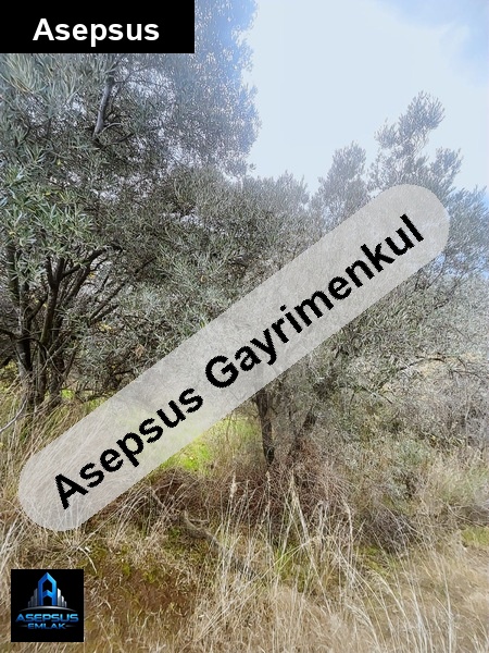 Asepsus Emlak'tan  edincik mh. 'sinde satılık arsa