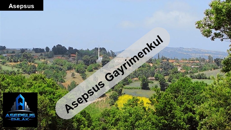 Asepsus Emlak'tan  şaroluk mh. 'sinde satılık arsa