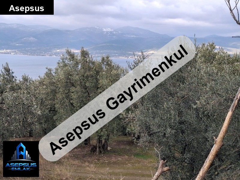 Asepsus Emlak'tan  edincik mh. 'sinde satılık arsa