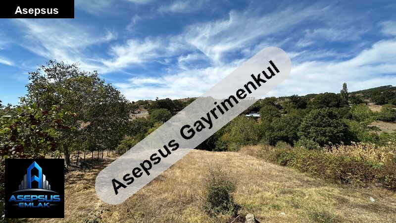 Asepsus Emlak'tan  kocapınar mh. 'sinde satılık arsa