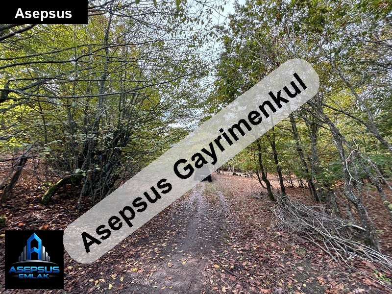 Asepsus Emlak'tan  kocapınar mh. 'sinde satılık arsa