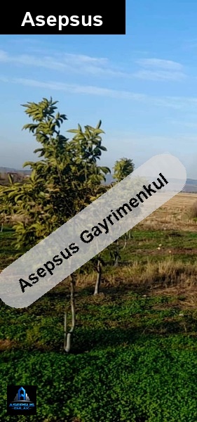 Asepsus Emlak'tan  gündoğan mh. 'sinde satılık arsa