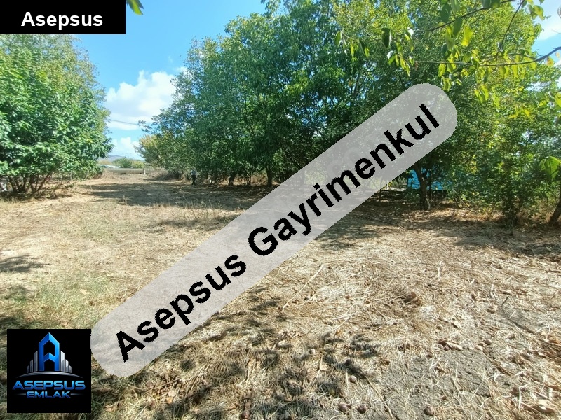 Asepsus Emlak'tan  tuzakçı mh. 'sinde satılık arsa