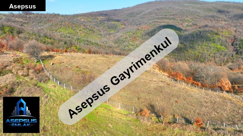 Asepsus Emlak'tan  geyikli mh. 'sinde satılık arsa