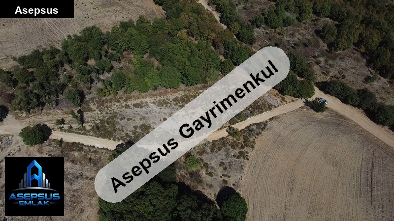 Asepsus Emlak'tan  kavakalan mh. 'sinde satılık arsa