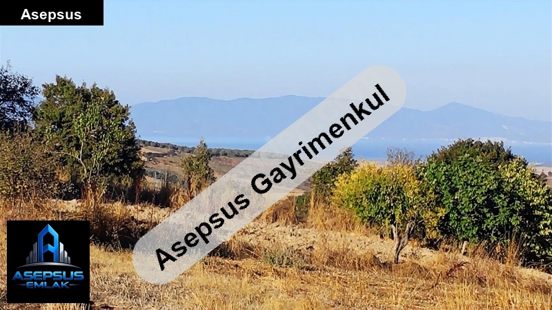 Asepsus Emlak'tan  turplu mh. 'sinde satılık arsa