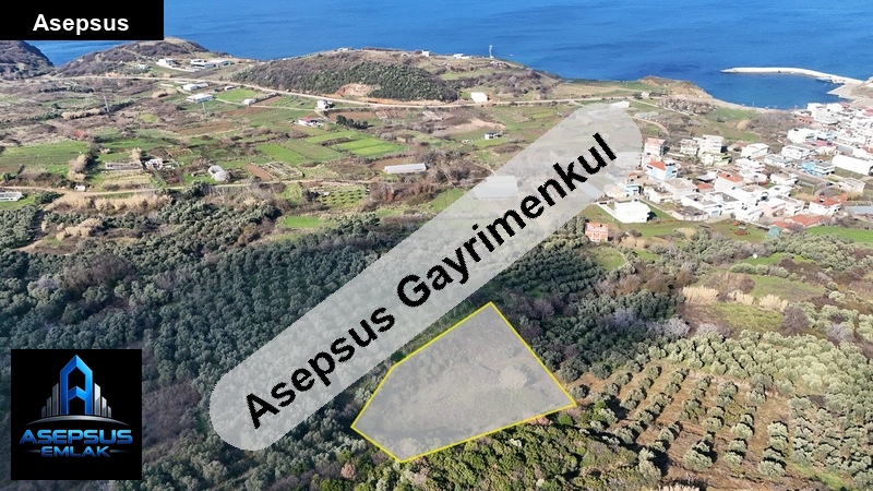 Asepsus Emlak'tan  yenice mh. 'sinde satılık arsa