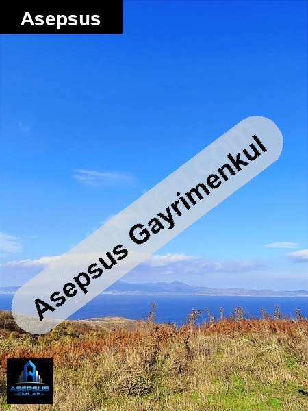 Asepsus Emlak'tan  yenice mh. 'sinde satılık arsa