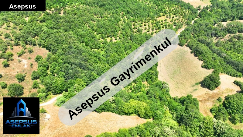 Asepsus Emlak'tan  çobanhamidiye mh. 'sinde satılık arsa