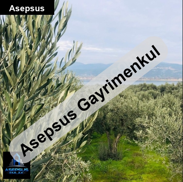 Asepsus Emlak'tan  edincik mh. 'sinde satılık arsa