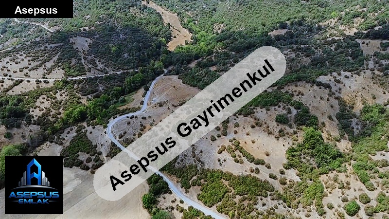 Asepsus Emlak'tan  yürükkeçidere mh. 'sinde satılık arsa