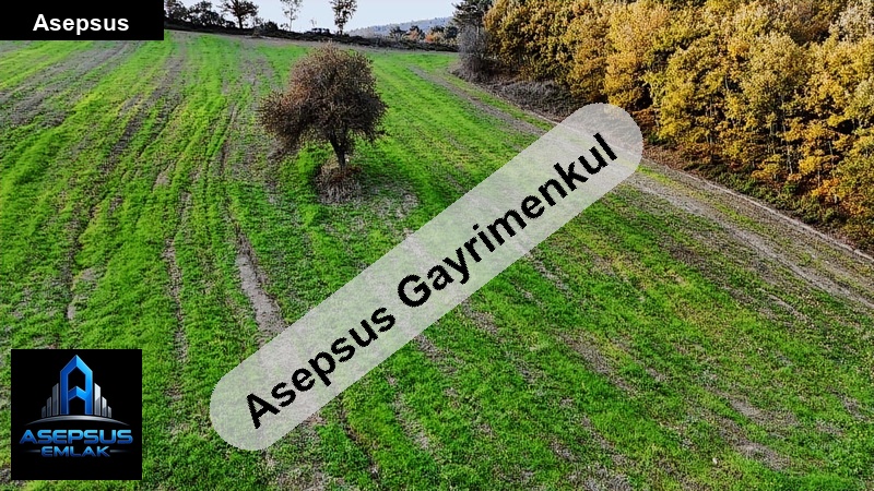 Asepsus Emlak'tan  karasukabaklar mh. 'sinde satılık arsa